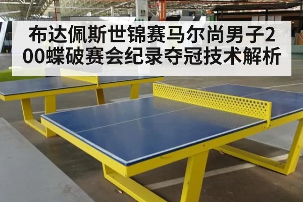 布达佩斯世锦赛马尔尚男子200蝶破赛会纪录夺冠技术解析