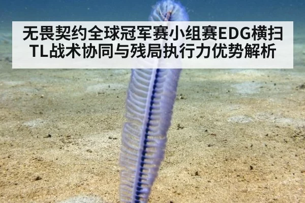 无畏契约全球冠军赛小组赛EDG横扫TL战术协同与残局执行力优势解析